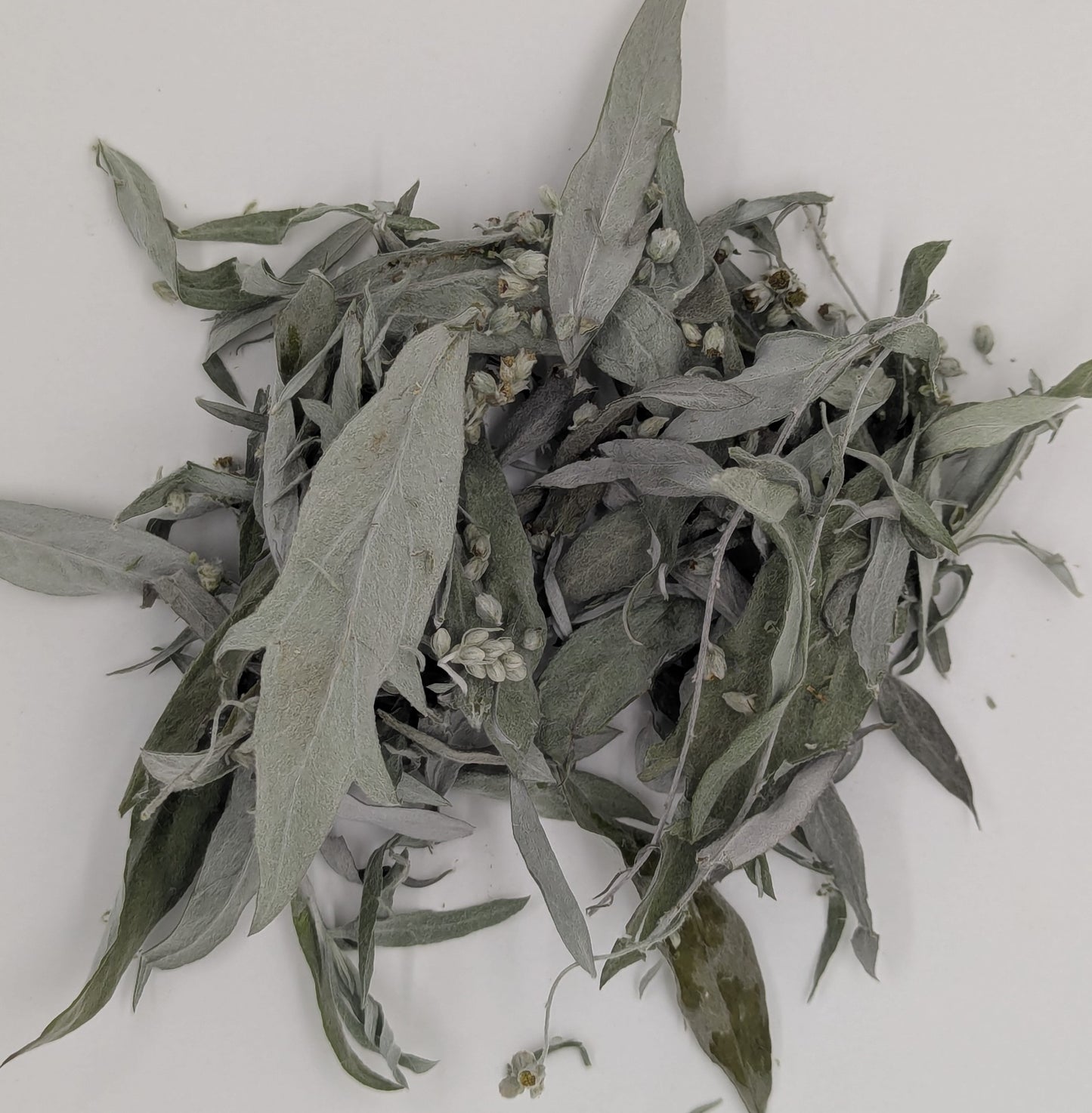 Mugwort, Western (Dried)