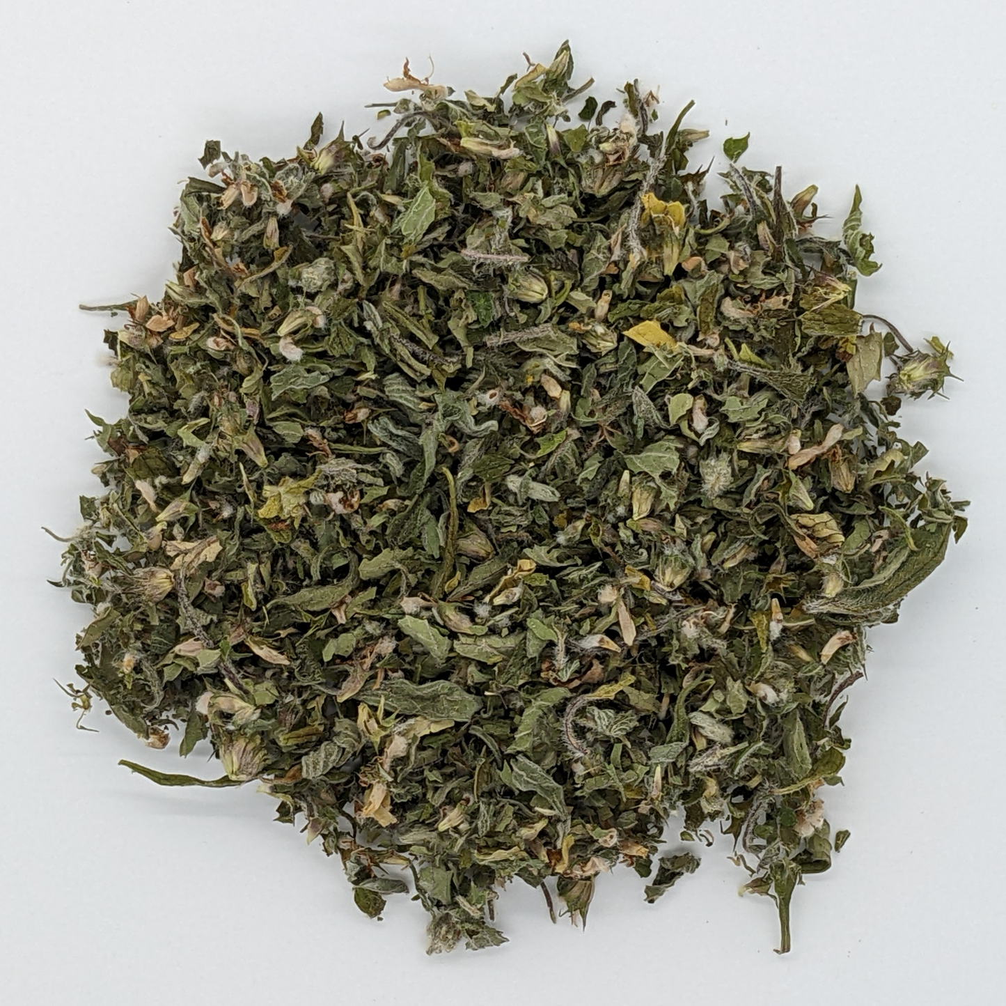 Motherwort (Dried)