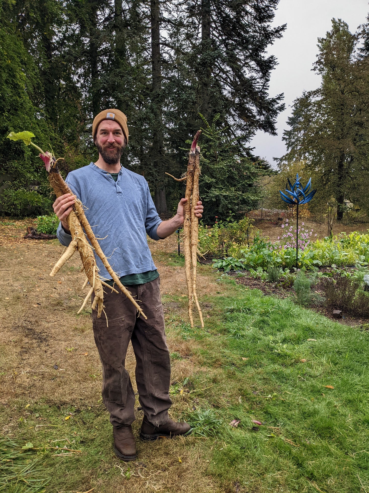 Burdock Root (FRESH)