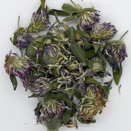 Red Clover (Dried)