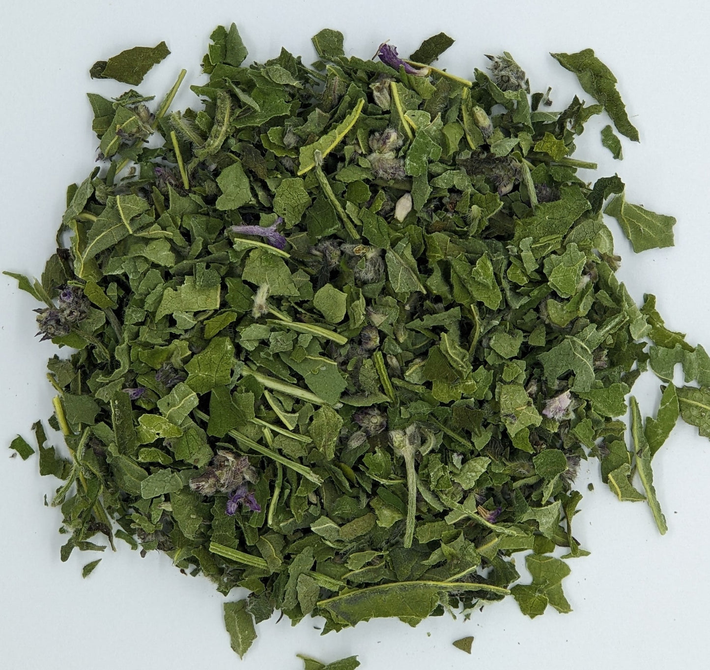 Wood Betony (Dried)