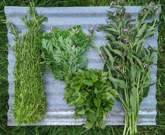 2025 Fresh Herb CSA Late Sign-Up (4/6 months)