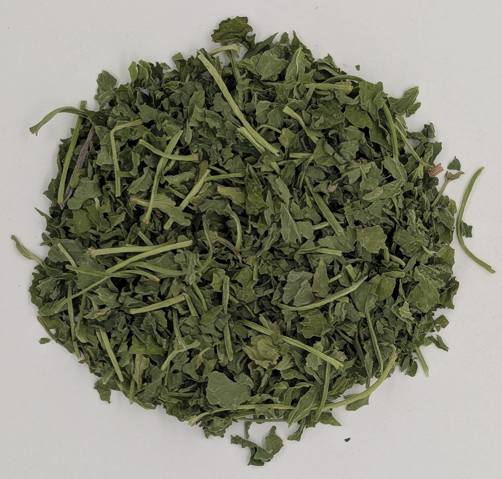 Elderberry, Black (Dried) | Root Digger Herb Farm