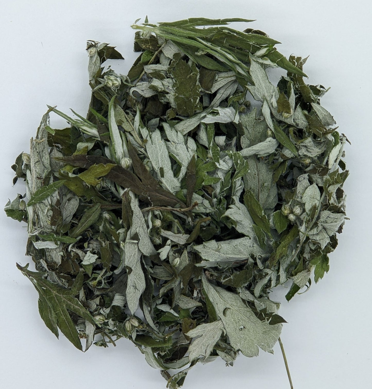 Mugwort, Common (Dried)