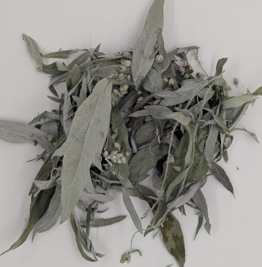 Mugwort, Western (Dried)