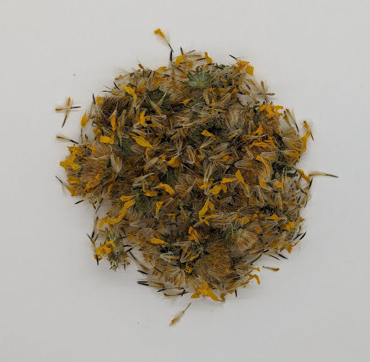 Arnica (Dried)