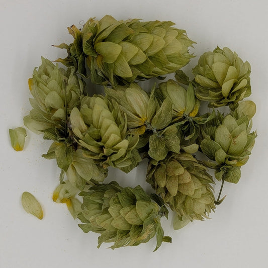 Hops (Dried)