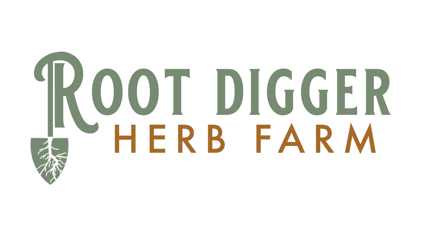 Mugwort, Common (FRESH) – Root Digger Herb Farm