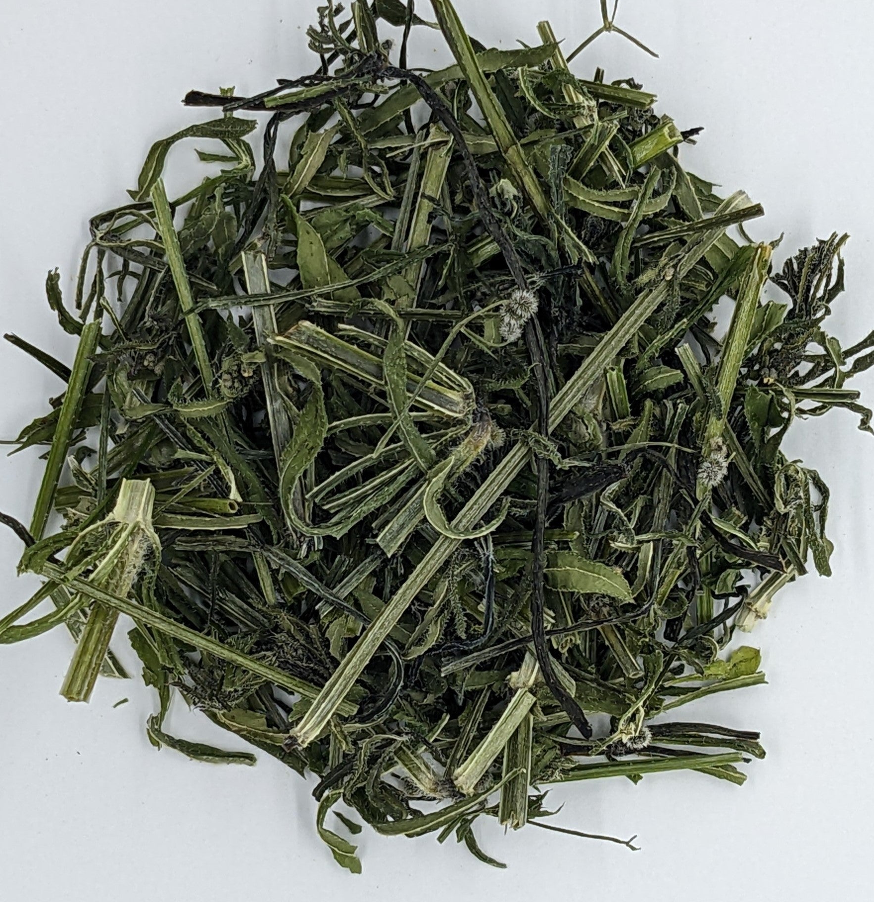 Cleavers (Dried) | Root Digger Herb Farm