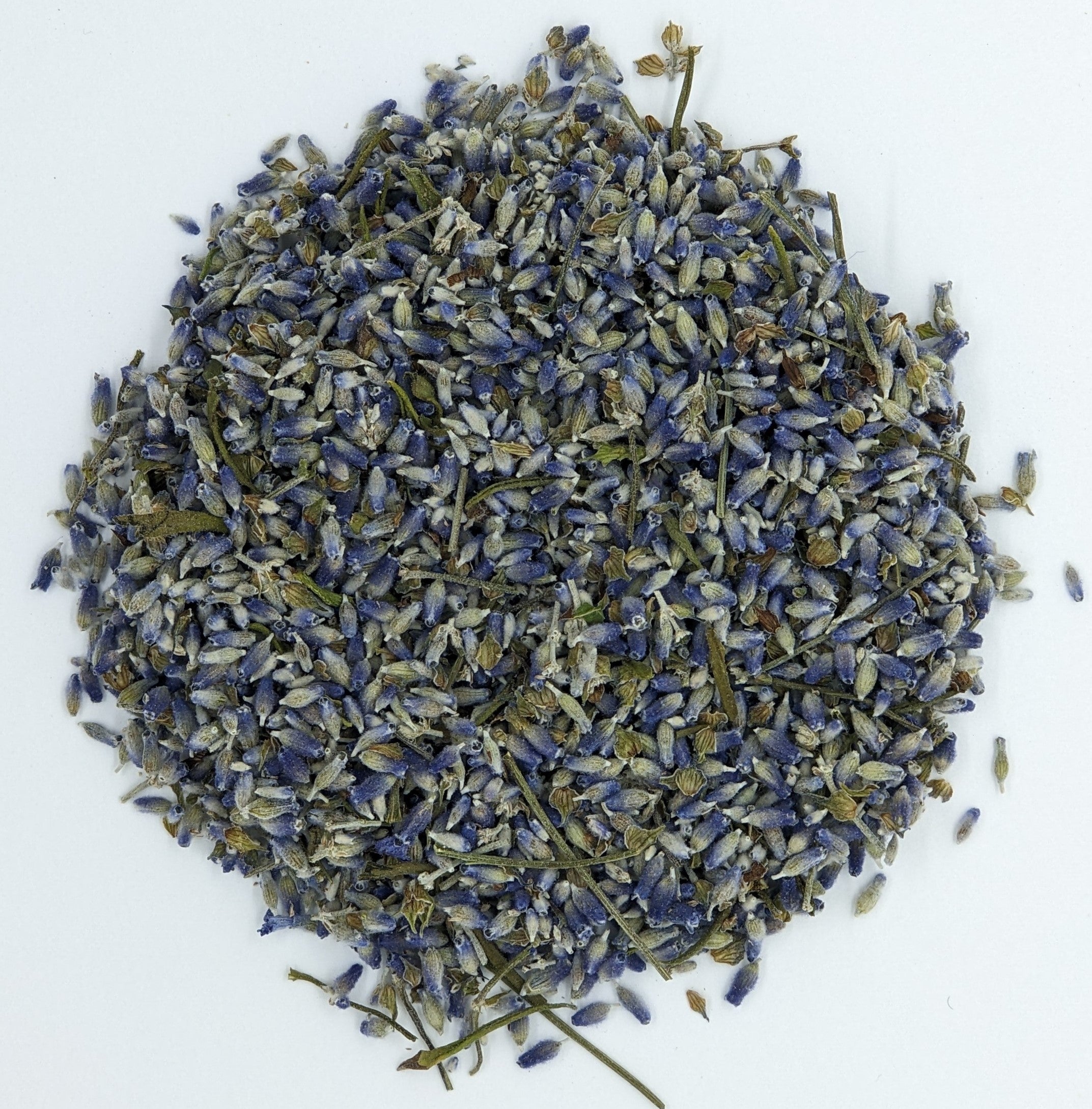 Lavender (Dried) Root Digger Herb Farm