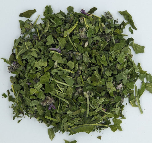 Wood Betony (Dried)